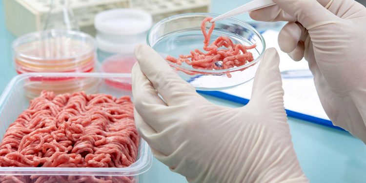 Proteínas animais feitas em laboratório podem mudar o prato do brasileiro em alguns anos
