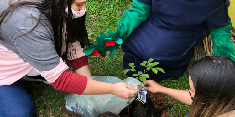 Dia da Árvores: Escola Municipal do Meio Ambiente promover ação de conscientização com alunos da Rede Municipal