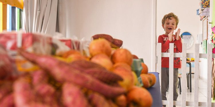 Prefeitura de Biguaçu entrega 5 mil kits de alimentação escolar