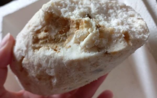 ‘Vômito’ de baleia milionário pode ter sido encontrado em praia de Santa Catarina
