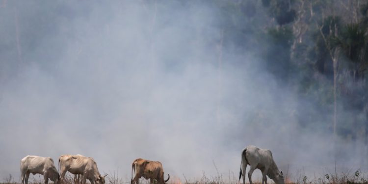 COP26: 97 países se comprometem a reduzir emissões de metano em 30% até 2030; Brasil aparece na lista