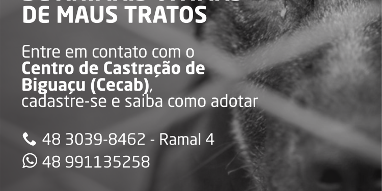 Vigilância de Zoonoses e Centro de Castração de Biguaçu criam cadastro para adoção de animais resgatados de situação de maus tratos
