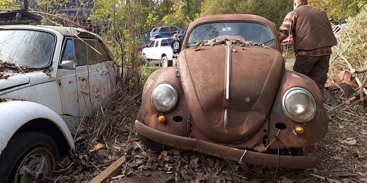Fusca raro é achado após 52 anos esquecido em ferro-velho e vale fortuna