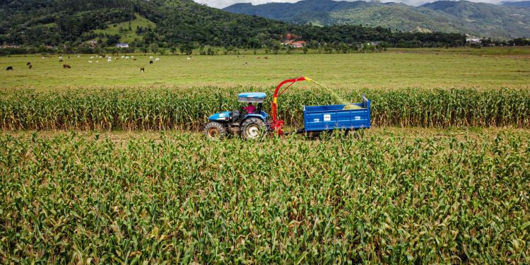 Agricultores de Biguaçu agora podem contar com colhedora com capacidade dobrada