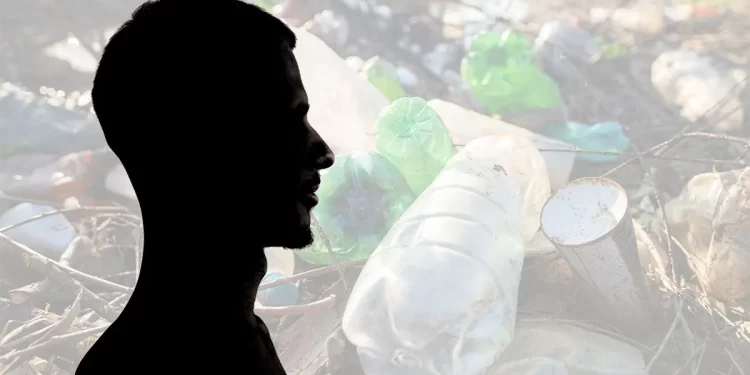 Descoberta sugere recuperação rápida da vida após maior evento de extinção em massa da história