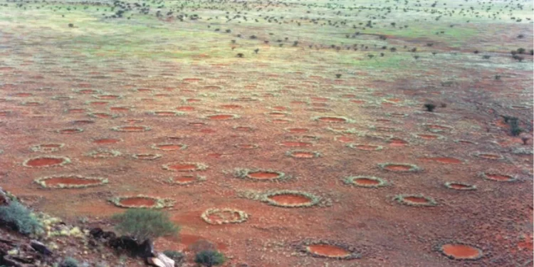 Misteriosos ‘círculos de fadas’ se espalham pelo planeta, aponta estudo
