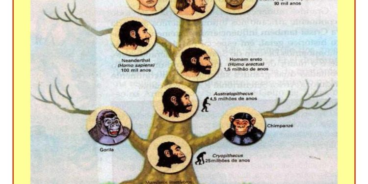 Qual é a origem da humanidade segundo a ciência