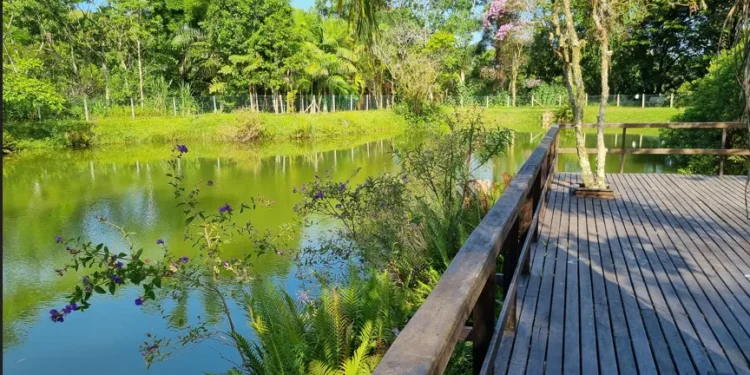 São José nomeia novos membros do Conselho Municipal do Meio Ambiente