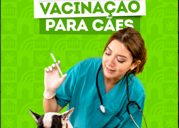 DIBEA de Biguaçu promove mutirão de vacinação para cães
