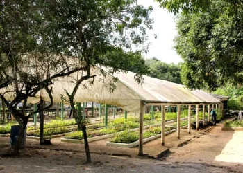 São José empossa Comissão Municipal do Meio Ambiente nesta quinta-feira (03)
