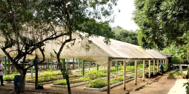 São José empossa Comissão Municipal do Meio Ambiente nesta quinta-feira (03)