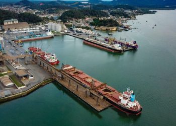 Porto de SC prepara concessão de terminal graneleiro e novo berço de atracação