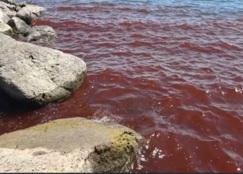 Mau presságio bíblico? Mar da Galileia fica vermelho e assusta moradores