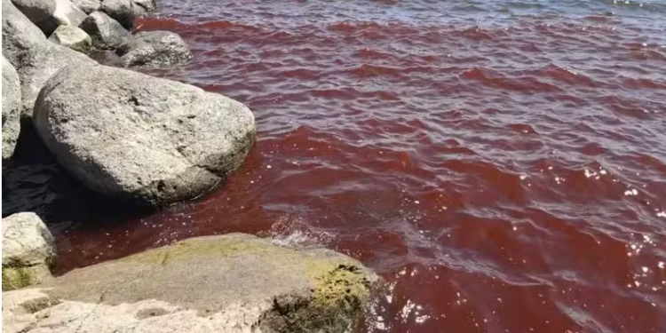 Mau presságio bíblico? Mar da Galileia fica vermelho e assusta moradores