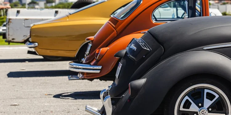Exposição de carros antigos movimenta os 10 anos do Jardim Botânico de São José