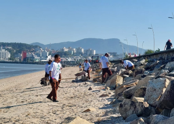 Setembro Mais Verde: São José se mobiliza pelo meio ambiente