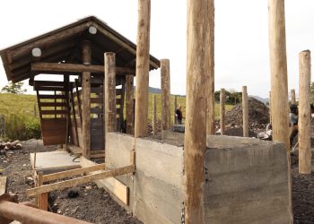 Secretaria de Agricultura e Pecuária constrói balança comunitária para facilitar pesagem de animais