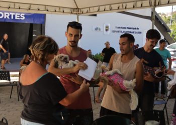 Novo mutirão de castração oferece 250 vagas; inscrições estão abertas
