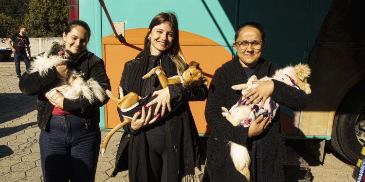 Fim de semana de mutirão castra 238 cães e gatos e eleva para 890 o total de procedimentos em 2026