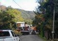 Defesa Civil Municipal e Prefeitura realizam mutirão de podas preventivas contra os efeitos do El Niño