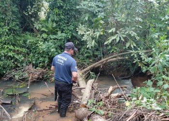 Limpeza antes da chuva: Prefeitura realiza ação em ponte no Bairro Palmas